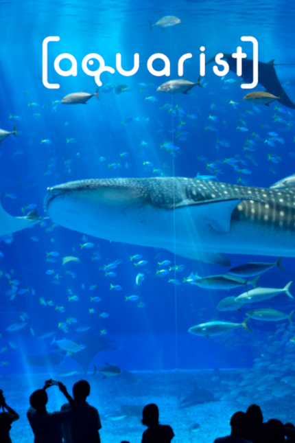 Aquarist (Global) (PC) - Steam - Digital Code